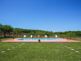 Apartment Fattoria Petraglia - Terrazza by Interhome - 1