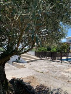 Casa da Oliveira - Nelas - 0