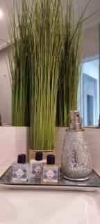 Castelo Terrace Apartement - Leiria - 4