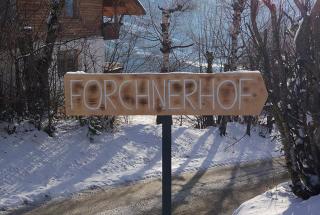 Forchnerhof Apt Ploseblick - Maranza - 2