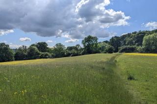 A Somerset Countryside Lodge - 3