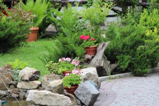 AQUARIUS Eco-Hotel-Grill-Restaurant - Lviv - 2