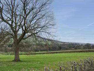 Trelawney Cottage - Charlestown - 9
