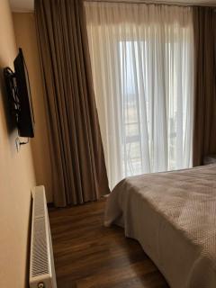 Villa Deluxe Premium Apartment 308 - Bakuriani - 3