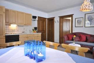Apparthotel Restaurant Steiners - Eben im Pongau - 3