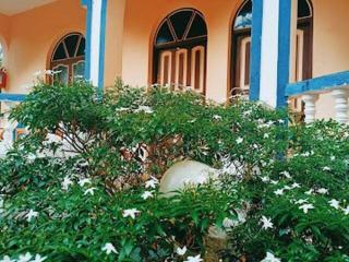 Casa Domingos Guest House - Calangute - 7