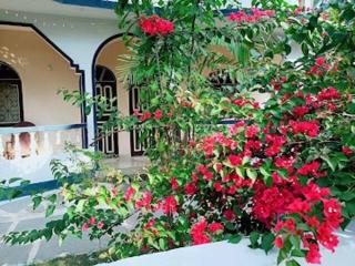 Casa Domingos Guest House - Calangute - 6