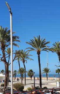 Playa Doñana 1 - Sanlúcar de Barrameda - 1