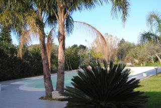 Appartamento uso turistico Villa Barbara - 7