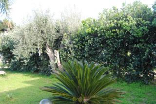 Appartamento uso turistico Villa Barbara - 6