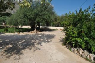 Appartamento uso turistico Villa Barbara - Carini - 4