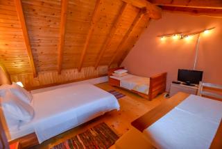 Villa Green Oasis - Kakma - 1