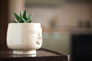 Zen House - Cormano - 8