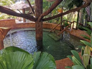 Hotel Palmera Real Hot Springs - Fortuna - 5