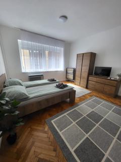 Downtown Studio Apartman - Pécs - 9