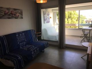 Très beau studio au Grau du Roi tout équipé 33m2 - Le Grau-du-Roi - 1