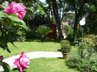 Deliziosa Villa alle porte di Roma - 6