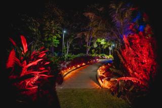 Biohotel Arara River - Leticia - 6