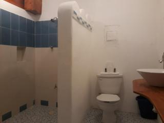 Bea rooms and studios - Cozumel - 4