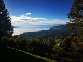 Elvira House Montreux, un lieu magique ! - Montreux - 4