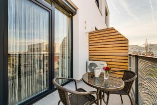 ARI Cinema Apartament with 2M Videoproiector - Arad - 5