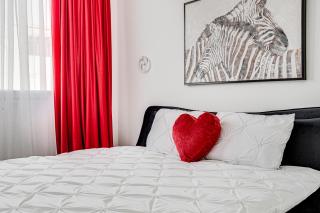 ARI Cinema Apartament with 2M Videoproiector - Arad - 9