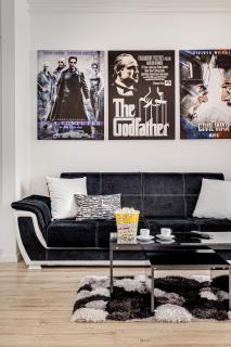 ARI Cinema Apartament with 2M Videoproiector - Arad - 8