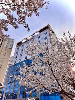 Golden Business Hotel - Jinju - 9