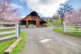 30-Acre Witter Springs Ranch with Barn and Views! - Upper Lake - 9
