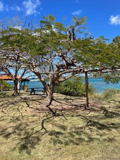 Bel Bonjou, Votre maison tropicale au cœur du Sud Martinique - 5