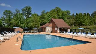 Seven Springs Swiss Mountain 1 Bedroom Standard Condo condo - Champion - 6