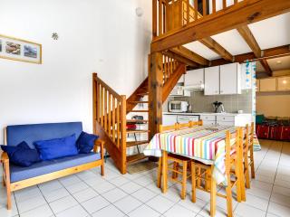 Maison T3 avec mezzanine à 200m de la plage, terrasse, parking, accepte animaux - Biscarrosse - FR-1-521-140 - 0