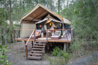 Paperbark Camp - Woollamia - 3
