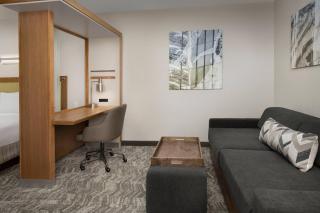 Springhill Suites by Marriott Jackson North/Ridgeland - Ridgeland - 5