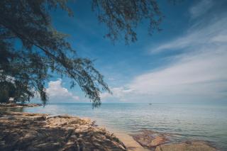 Chill Inn Lamai Hostel & Beach Cafe - 1