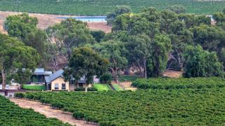 Triple Creek Guest House - Barossa Region - Seppeltsfield - 9