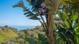 Casa Elena de Benagalbon Rincon de la Victoria by Ruralidays - Rincón de la Victoria - 7