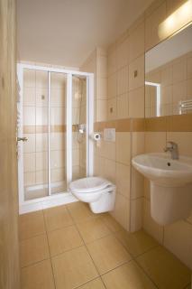 Hotel Rusava - Rusava - 9