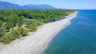 Superbe T2 Sognu di Mare - Linguizzetta - 1