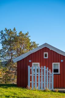 Norwegian Wild - Vangsvik - 3