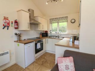 Chalet Log Cabin L12 - Ilfracombe - 4