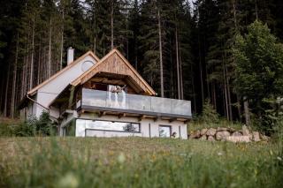 Heselehof Waldchalets - Langenwang - 9