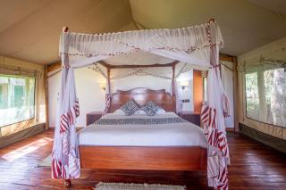 Lake Naivasha Crescent Camp - Naivasha - 3
