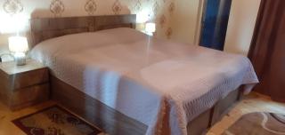 Kaxa Shorena Guest-House - Kazbegi - 5