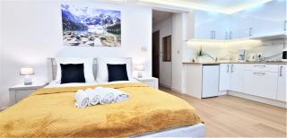 VIP Apartamenty Tetmajera Centrum - Zakopane - 2