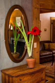 The Old Inn On The Green - New Marlborough - 6