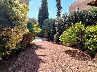 House With Pool In La Siesta - La Mata - 6