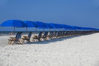 Hilton Head Island Beach and Tennis Resort - Hilton Head Island - 2