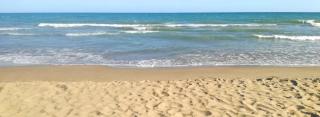 Arte y natura en la playa de Eucaliptus - L'Eucaliptus - 5