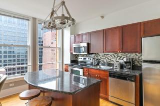 Loop 2BR w Gym Doorman same block as L CHI-674 - 4
